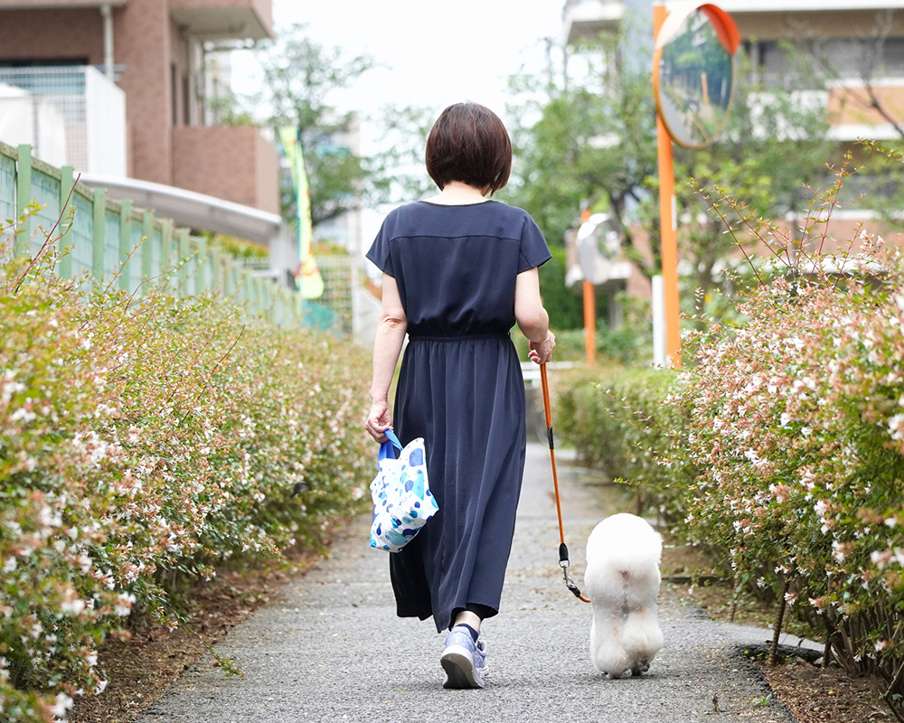 犬を散歩中の女性の画像